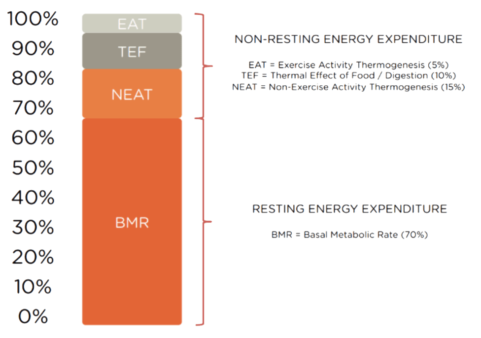 BMR NON RESTING ENERGY