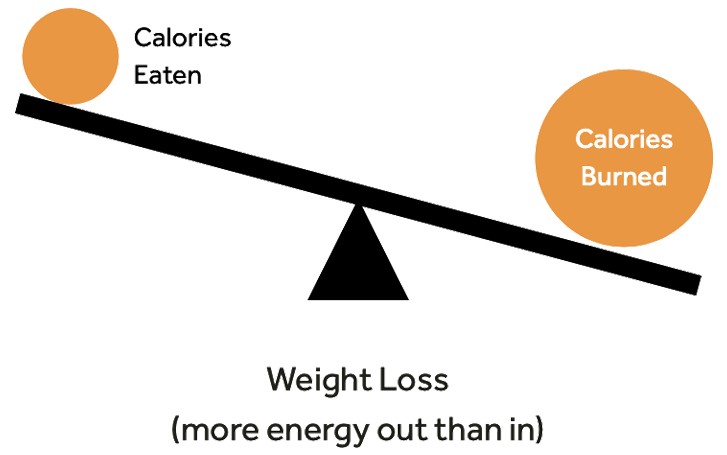 Nutrition 3